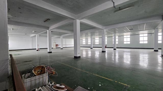 桃園中壢廠房-1