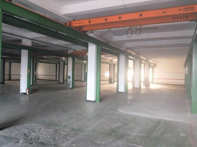 桃園廠房-0